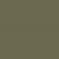 Agave Green U645 ST9