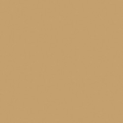 Golden Brushed Metal F527 ST20