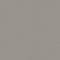 Grey Canvas F634 ST76